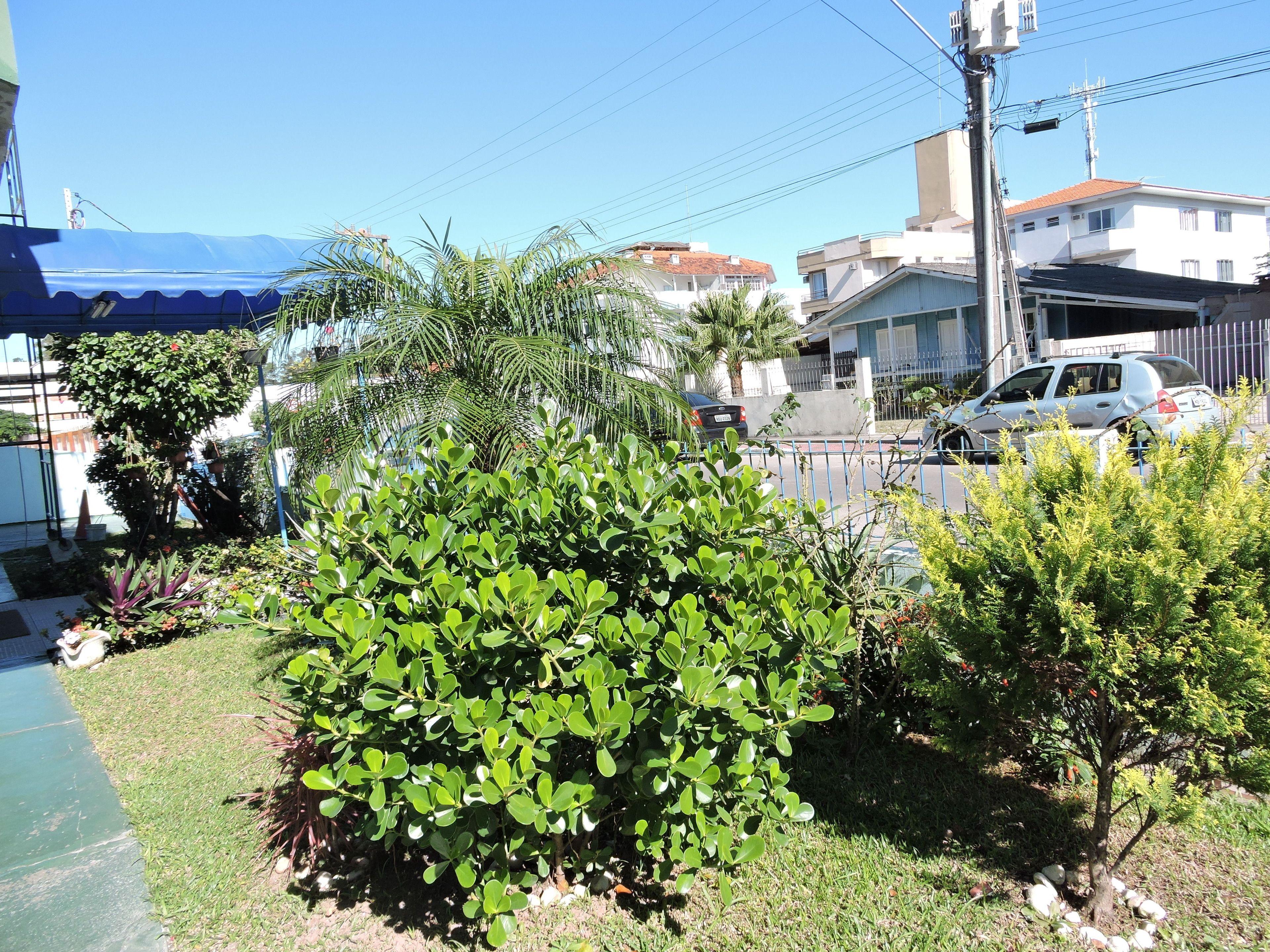 Hotel Dom Fish — Photos 3